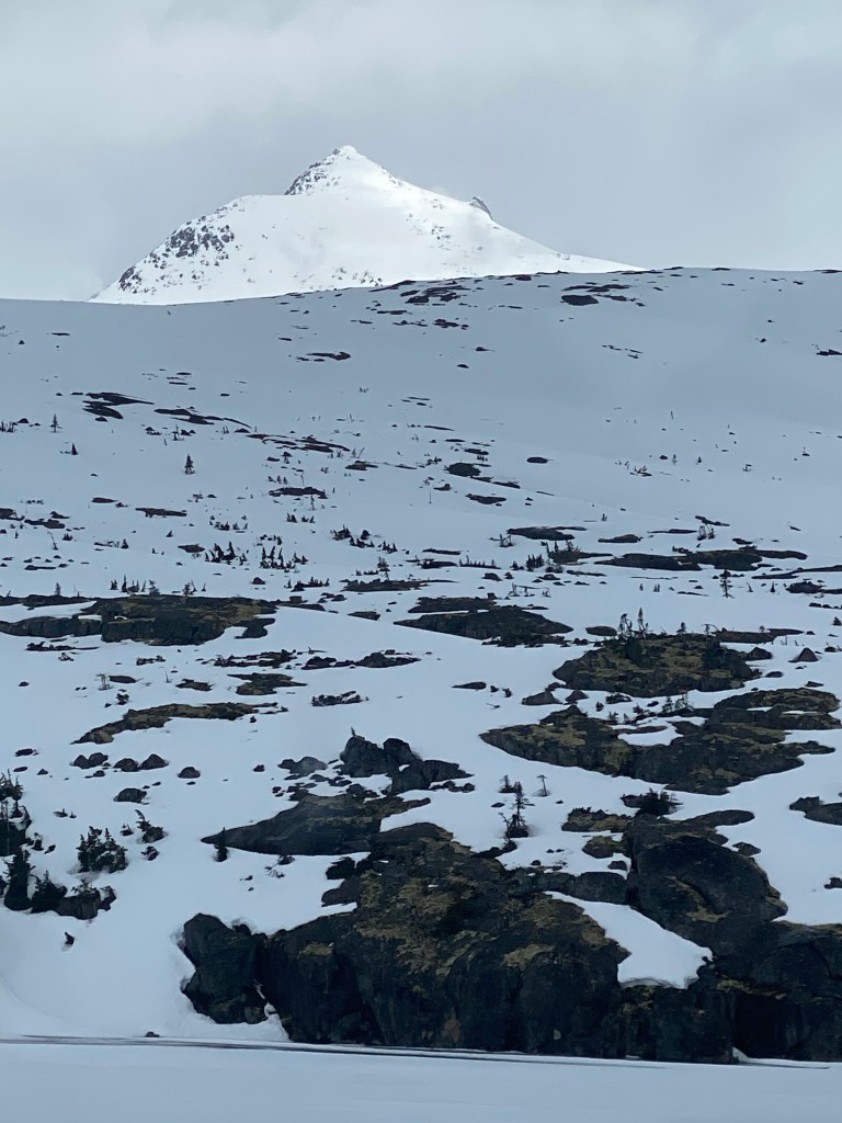 Alaskan Mountain Top
